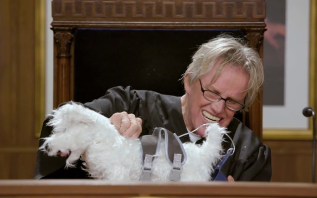 Amazon announces “Gary Busey: Pet Judge” because 2020 can’t get any weirder